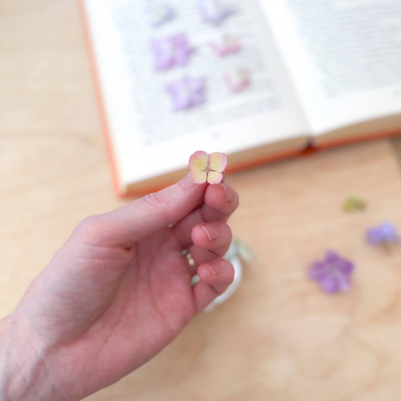 The Flower Press at Christmas advent box - Image 3