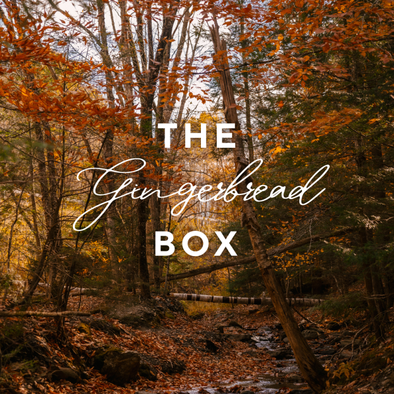 The Gingerbread box